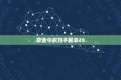 海中金 乙丑